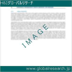 グローバルリサーチ調査レポートのイメージ
